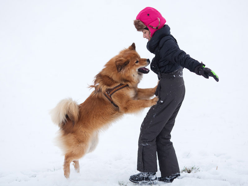 Jumping can be dangerous - especially around kids and the elderly!