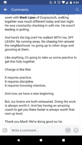 Fitz's testimonial continued - a screenshot from facebook showing satisfaction with our dog training services.