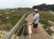 Off-Leash Dog Training