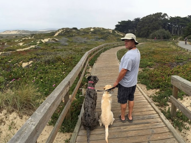 Can You Ever Fully Trust Your Dog Off Leash? What Professional Trainers Really Say