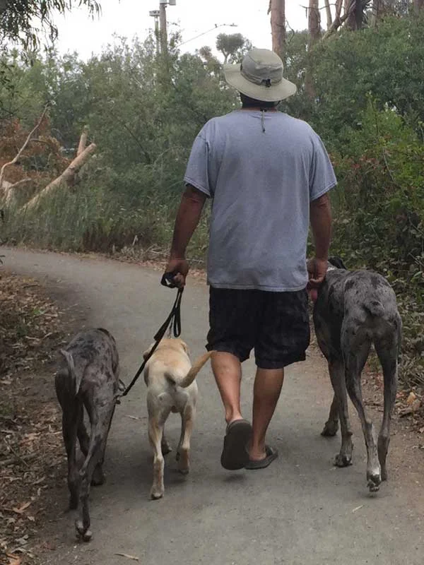 dognpooch-leash-training04